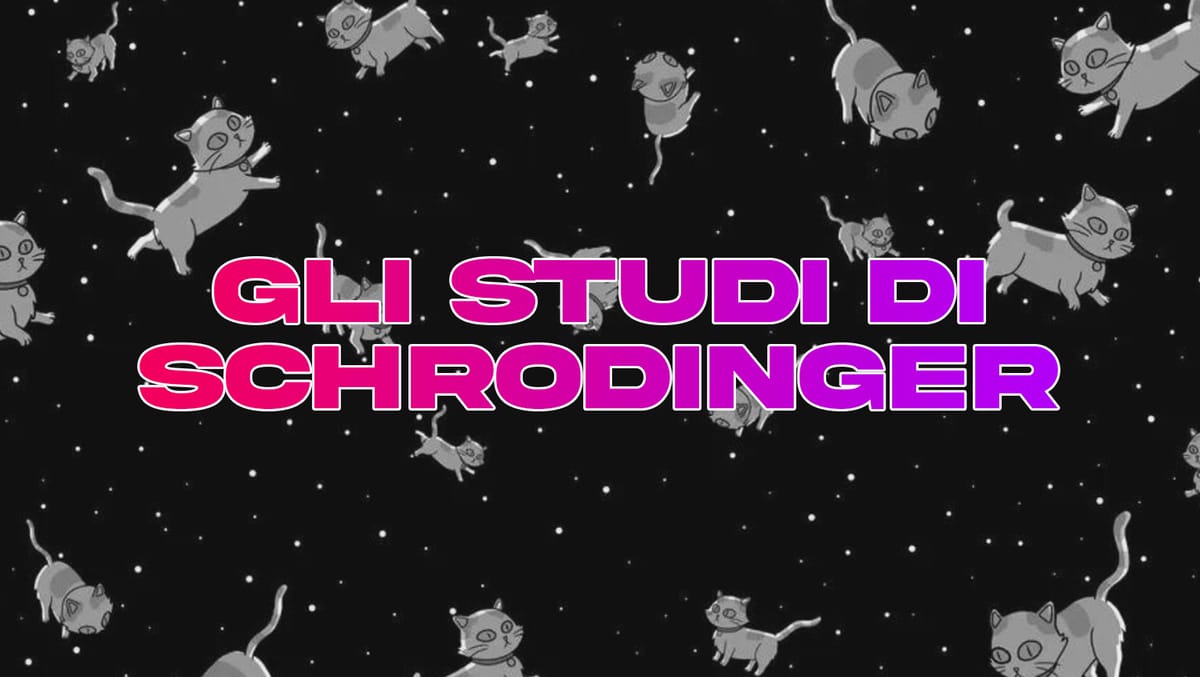 Gli studi di Schrödinger