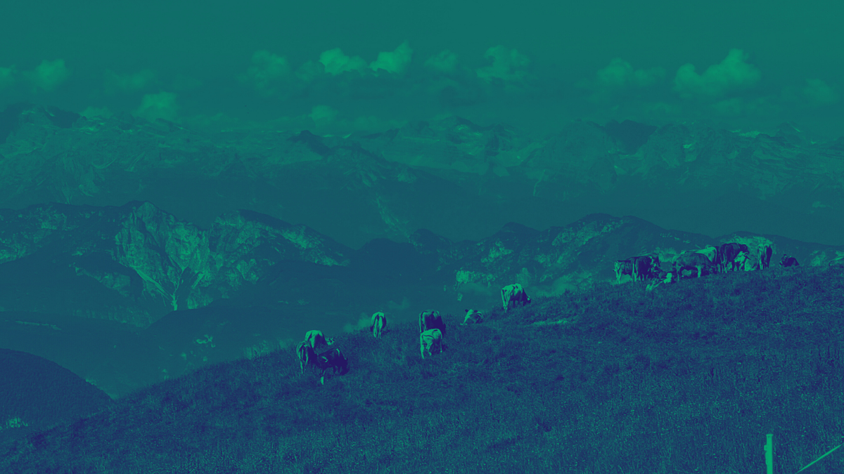 La settimana giusta per essere in ferie