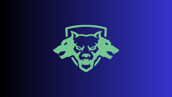 Un Call of Duty più importante di altri