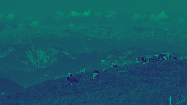 La settimana giusta per essere in ferie